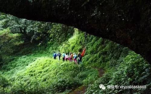 逗小猴开心系列200